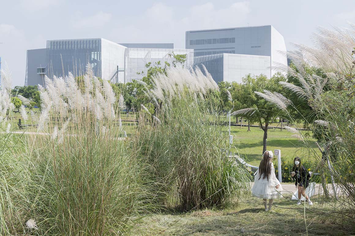 Taichung Green Museumbrary
